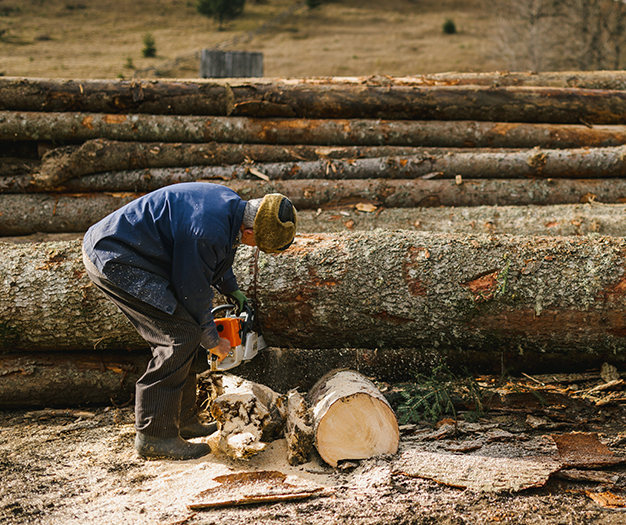 Huzhou Baosheng New Material Co., Ltd.